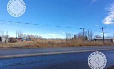 HECTAREAS EN RIO COLORADO,ZONA AEROPUERTO NEUQUEN