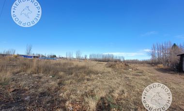 HECTAREAS EN RIO COLORADO,ZONA AEROPUERTO NEUQUEN