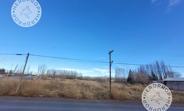 HECTAREAS EN RIO COLORADO,ZONA AEROPUERTO NEUQUEN