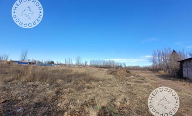 HECTAREAS EN RIO COLORADO,ZONA AEROPUERTO NEUQUEN