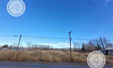 HECTAREAS EN RIO COLORADO,ZONA AEROPUERTO NEUQUEN