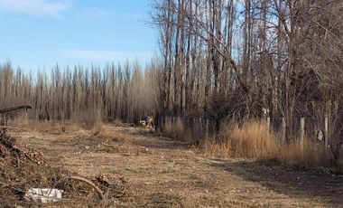 HECTAREAS EN RIO COLORADO,ZONA AEROPUERTO NEUQUEN