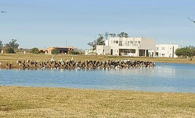 Terreno en venta San Lucas Canning