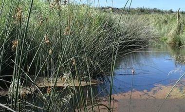 Lote en Barrio Privado Las Brusquitas