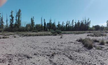 Terreno en  COQIMBITO-MAIPU-MENDOZA