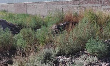 Terreno en  COQIMBITO-MAIPU-MENDOZA