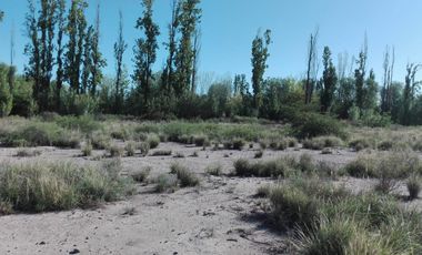 Terreno en  COQIMBITO-MAIPU-MENDOZA