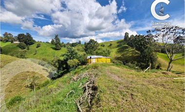 ¡EN VENTA! HERMOSA FINCA EN VEREDA EL DESPISTE - BELLO ANT