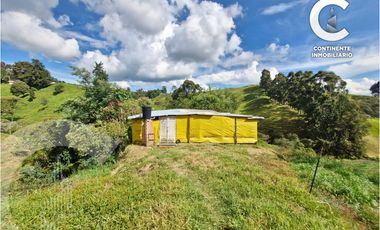 ¡EN VENTA! HERMOSA FINCA EN VEREDA EL DESPISTE - BELLO ANT