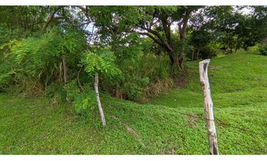 COSTA ESMERALDA / SAN CARLOS / 1000M2 / PLANO / FRENTE A VIA