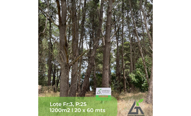 LOTES ADENTRO DEL GOLF 600 m2 y 1.200m2
