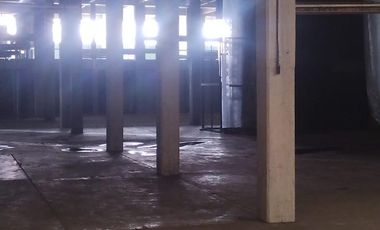 Bodega Industrial en Venta en Santa María la Ribera