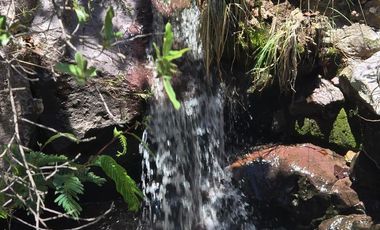 Terreno CAMPESTRE EN VENTA EN COMUNIDAD DE RANCHOS EN SAN MARTÍN DE TERREROS, ESTADO DE GUANAJUATO