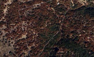 Terreno CAMPESTRE EN VENTA EN COMUNIDAD DE RANCHOS EN SAN MARTÍN DE TERREROS, ESTADO DE GUANAJUATO