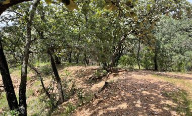 Terreno CAMPESTRE EN VENTA EN COMUNIDAD DE RANCHOS EN SAN MARTÍN DE TERREROS, ESTADO DE GUANAJUATO