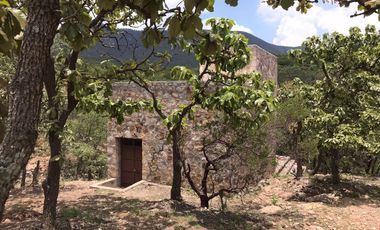 Terreno CAMPESTRE EN VENTA EN COMUNIDAD DE RANCHOS EN SAN MARTÍN DE TERREROS, ESTADO DE GUANAJUATO