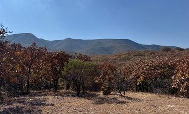 Terreno CAMPESTRE EN VENTA EN COMUNIDAD DE RANCHOS EN SAN MARTÍN DE TERREROS, ESTADO DE GUANAJUATO