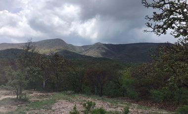 Terreno CAMPESTRE EN VENTA EN COMUNIDAD DE RANCHOS EN SAN MARTÍN DE TERREROS, ESTADO DE GUANAJUATO