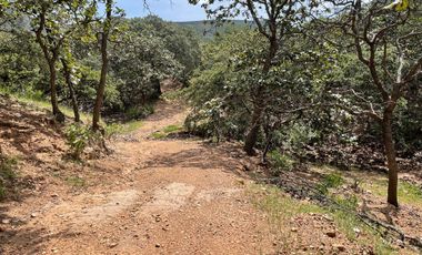 Terreno CAMPESTRE EN VENTA EN COMUNIDAD DE RANCHOS EN SAN MARTÍN DE TERREROS, ESTADO DE GUANAJUATO