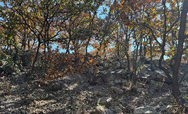 Terreno CAMPESTRE EN VENTA EN COMUNIDAD DE RANCHOS EN SAN MARTÍN DE TERREROS, ESTADO DE GUANAJUATO