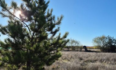 TERRENO EN VENTA CON LUZ Y AGUA EN LAS CABRAS