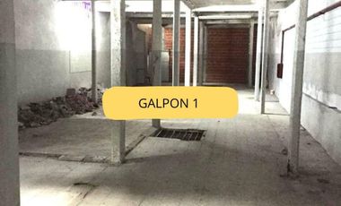 Galpón - Parque Chacabuco