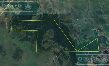 Campo en venta de 1150 has en Formosa. Cerca de Ruta Nac. 11