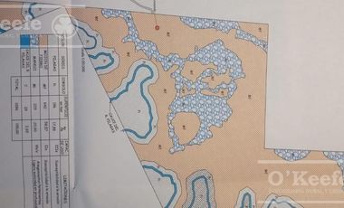 Campo en venta de 1150 has en Formosa. Cerca de Ruta Nac. 11