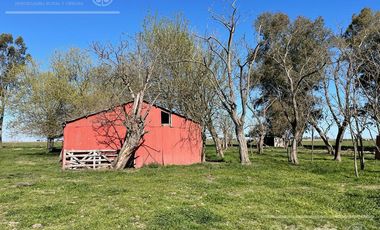 Campo en venta de 1150 has en Formosa. Cerca de Ruta Nac. 11