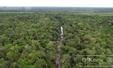 Campo en venta de 1150 has en Formosa. Cerca de Ruta Nac. 11