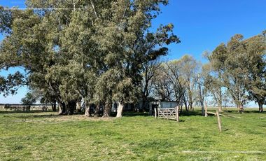 Campo en venta de 1150 has en Formosa. Cerca de Ruta Nac. 11