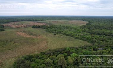 Campo en venta de 1150 has en Formosa. Cerca de Ruta Nac. 11