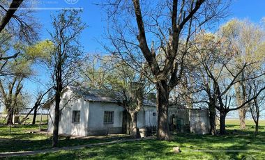 Campo en venta de 1150 has en Formosa. Cerca de Ruta Nac. 11