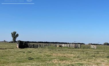 Campo en venta de 1150 has en Formosa. Cerca de Ruta Nac. 11