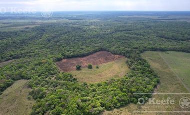 Campo en venta de 1150 has en Formosa. Cerca de Ruta Nac. 11