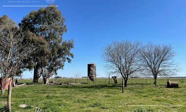 Campo en venta de 1150 has en Formosa. Cerca de Ruta Nac. 11
