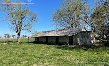 Campo en venta de 1150 has en Formosa. Cerca de Ruta Nac. 11