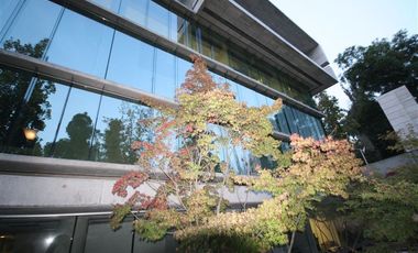 Oficina en Arriendo en Santa María de Manquehue // Universidad Federico Santa María // Carolina Rabat