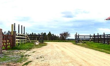 Parcela en Venta en PAILIMO 25 , PARCELA 6. MARCHIGUE