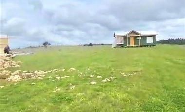 Parcela en Venta en PAILIMO 25 , PARCELA 6. MARCHIGUE