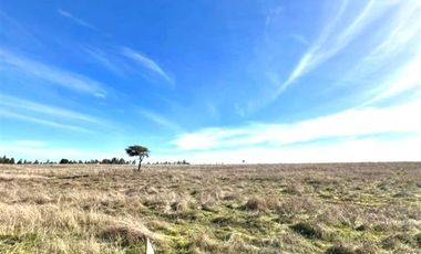 Parcela en Venta en PAILIMO 25 , PARCELA 6. MARCHIGUE