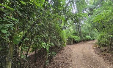 Acogedora cabaña y amplia parcela en Vilches