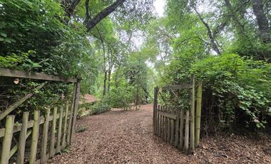 Acogedora cabaña y amplia parcela en Vilches