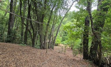 Acogedora cabaña y amplia parcela en Vilches