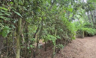 Acogedora cabaña y amplia parcela en Vilches