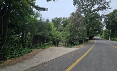 Acogedora cabaña y amplia parcela en Vilches