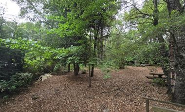 Acogedora cabaña y amplia parcela en Vilches