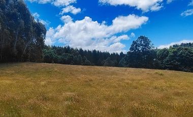 Hermosas Parcelas de agrado Sector Trinquicahuín