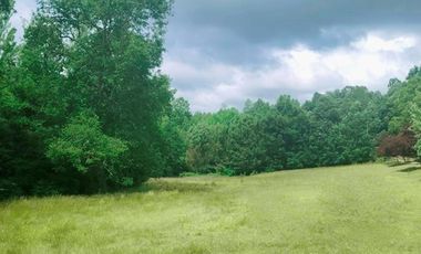 Hermosas Parcelas de agrado Sector Trinquicahuín