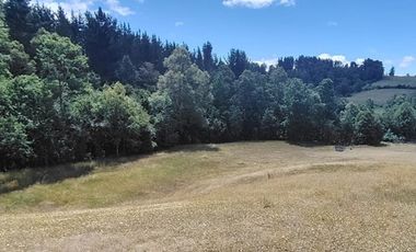 Hermosas Parcelas de agrado Sector Trinquicahuín